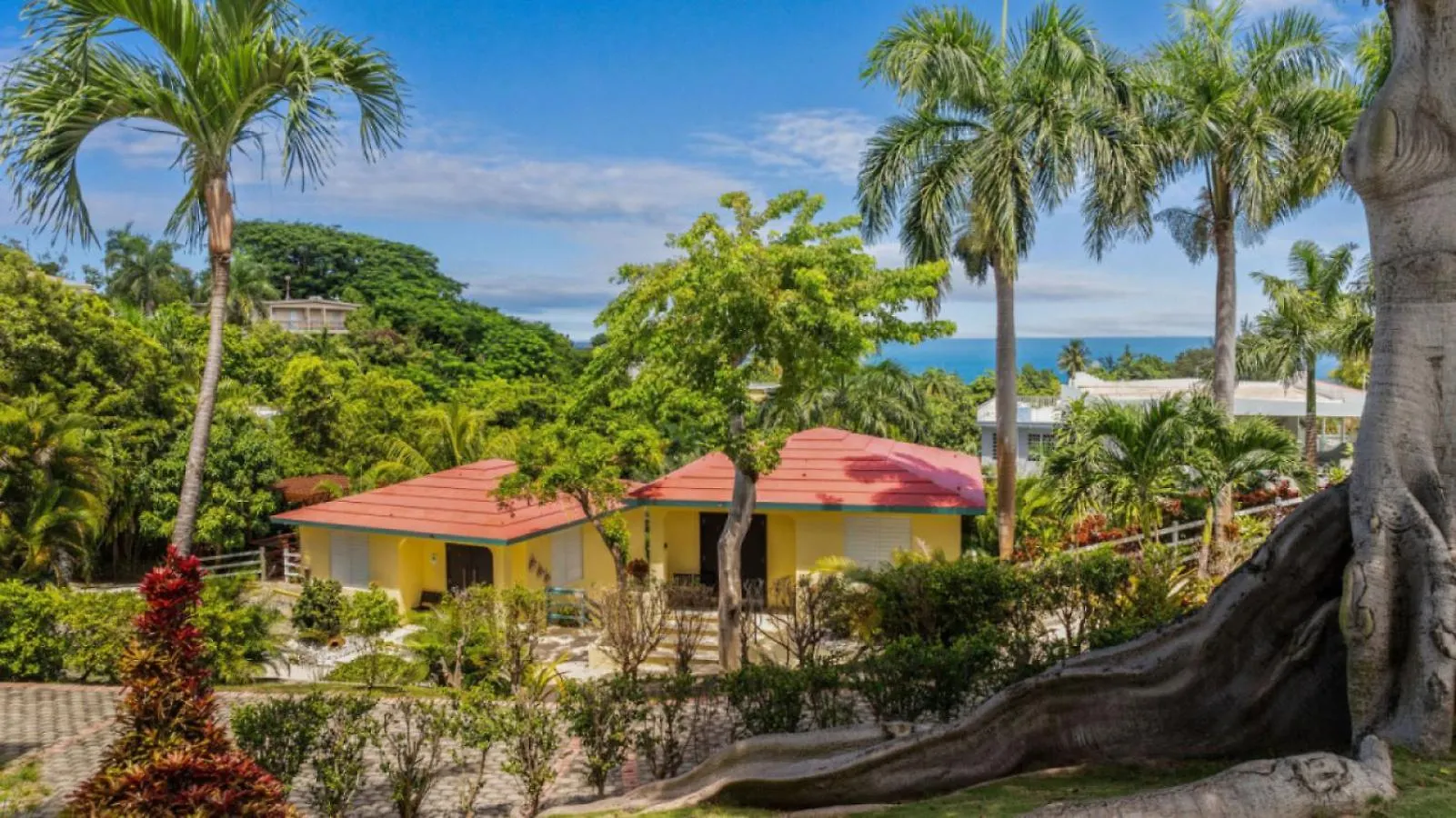 Casita 4 At Ceiba Tree Inn. Tranquility With Garden Views And Pergola With Ocean Overlook 린콘 0*,  푸에르토리코