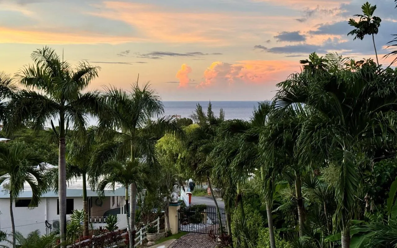 Casita 4 At Ceiba Tree Inn. Tranquility With Garden Views And Pergola With Ocean Overlook 린콘